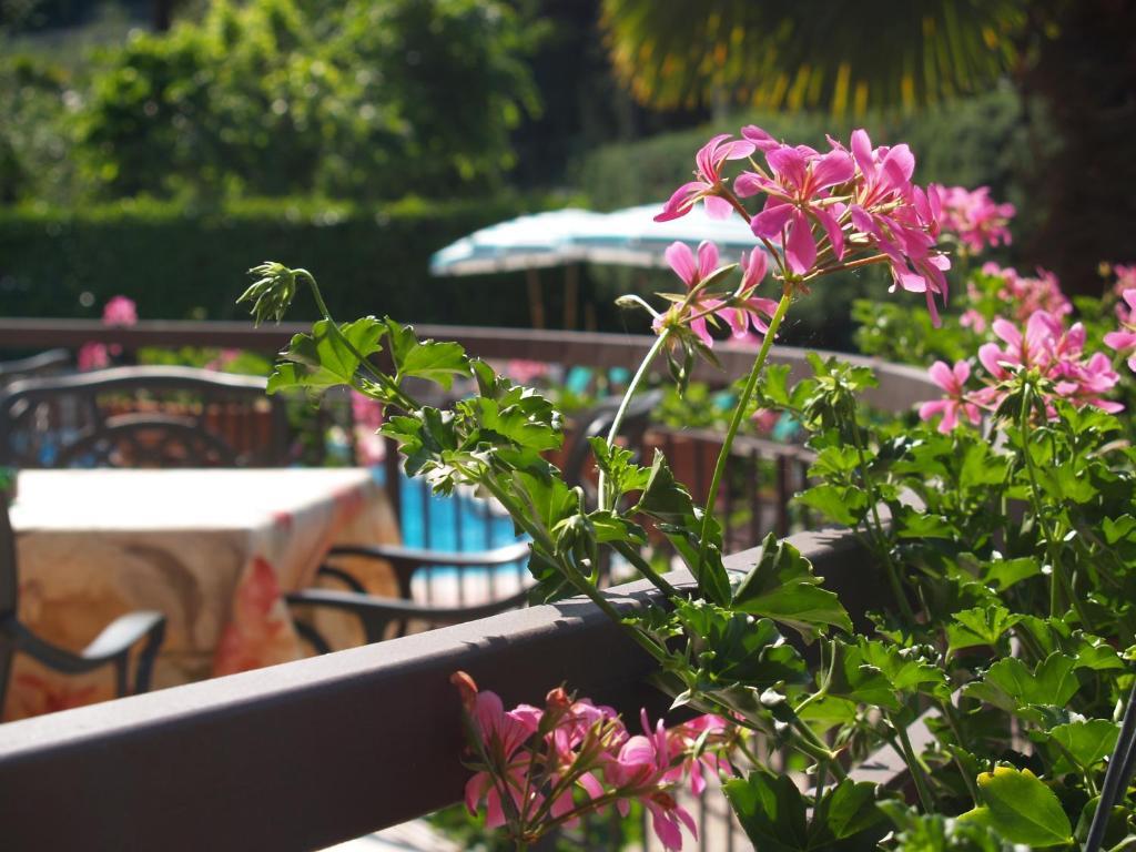 Hotel Casa Serena Malcesine Ngoại thất bức ảnh